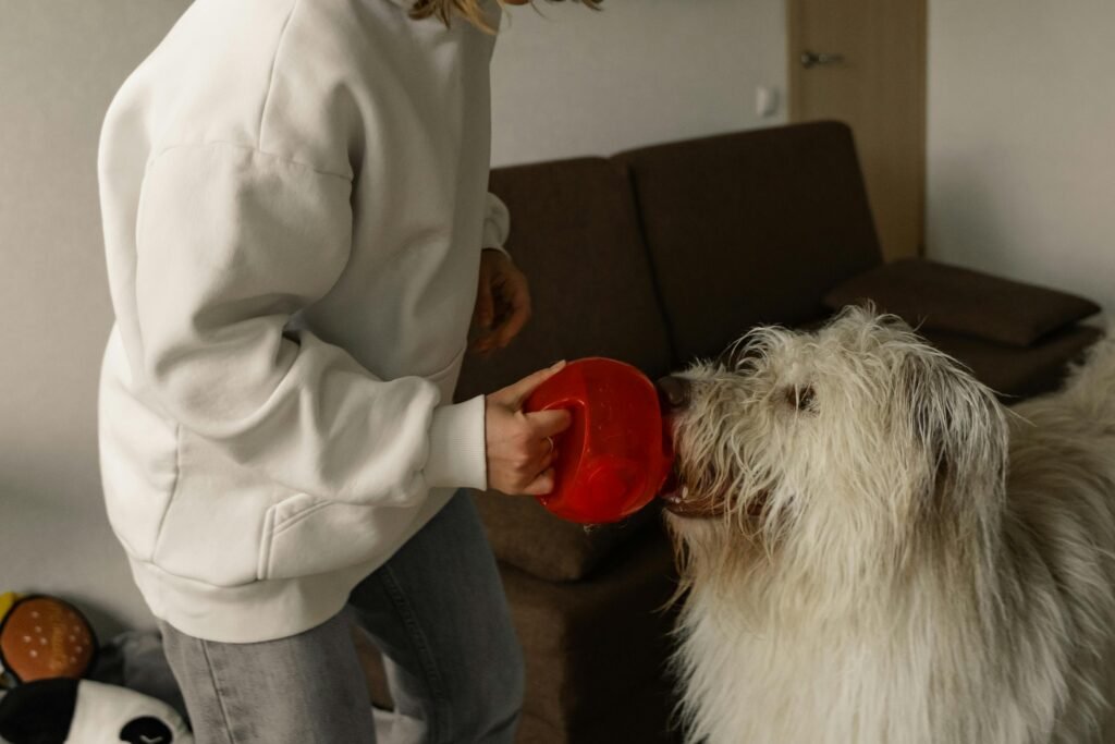 Pet Friendly Apparels